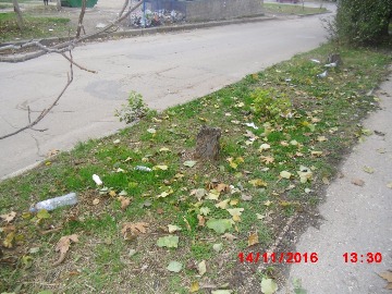 М.Крылова (1)